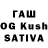 Псилоцибиновые грибы Psilocybine cubensis Anya x5