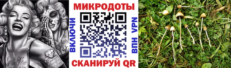 Галлюциногенные грибы MAGIC MUSHROOMS  магазин    Кунгур 