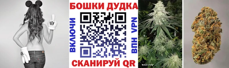 Марихуана сатива блэк спрут ССЫЛКА Кунгур